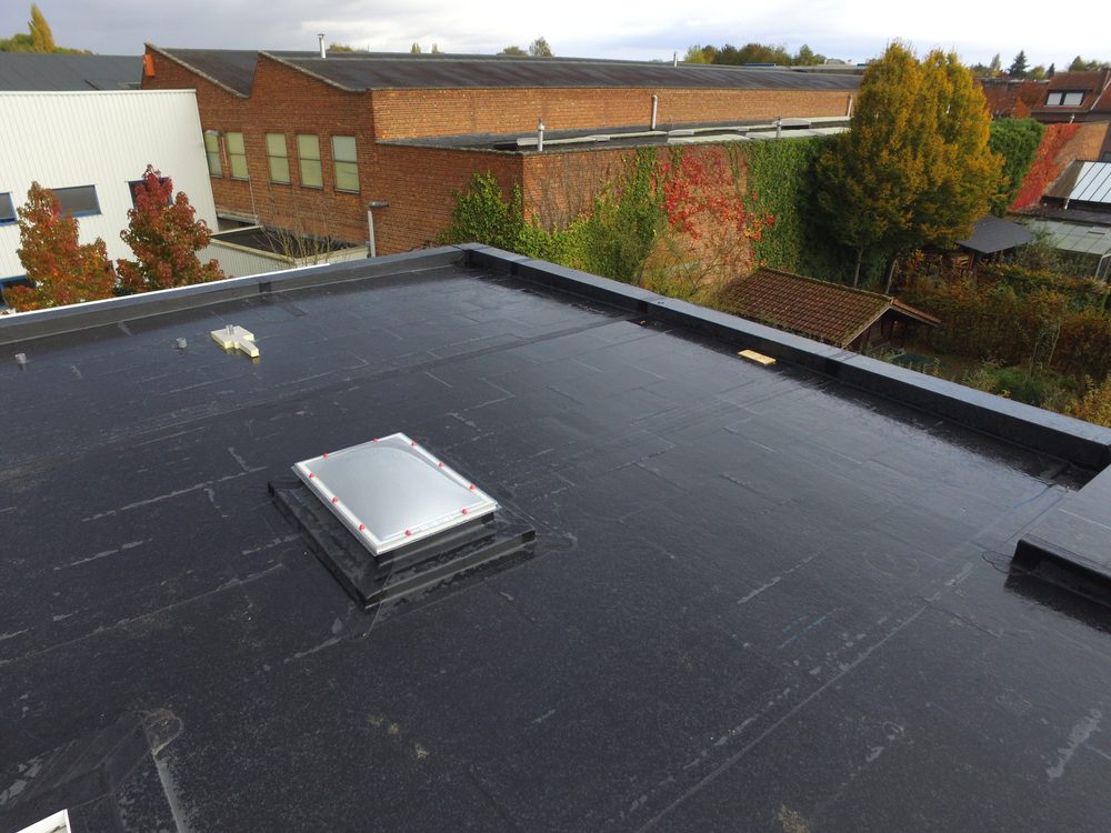 flat roof 12