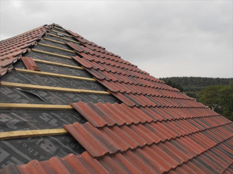 new roof 3