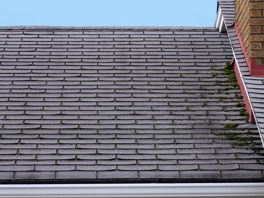 roof repair 5
